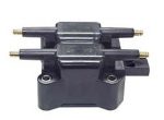 web ignition coil 5269670