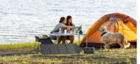 EcoFlow 60W Portable Solar Panel (Type-C) - Image 5